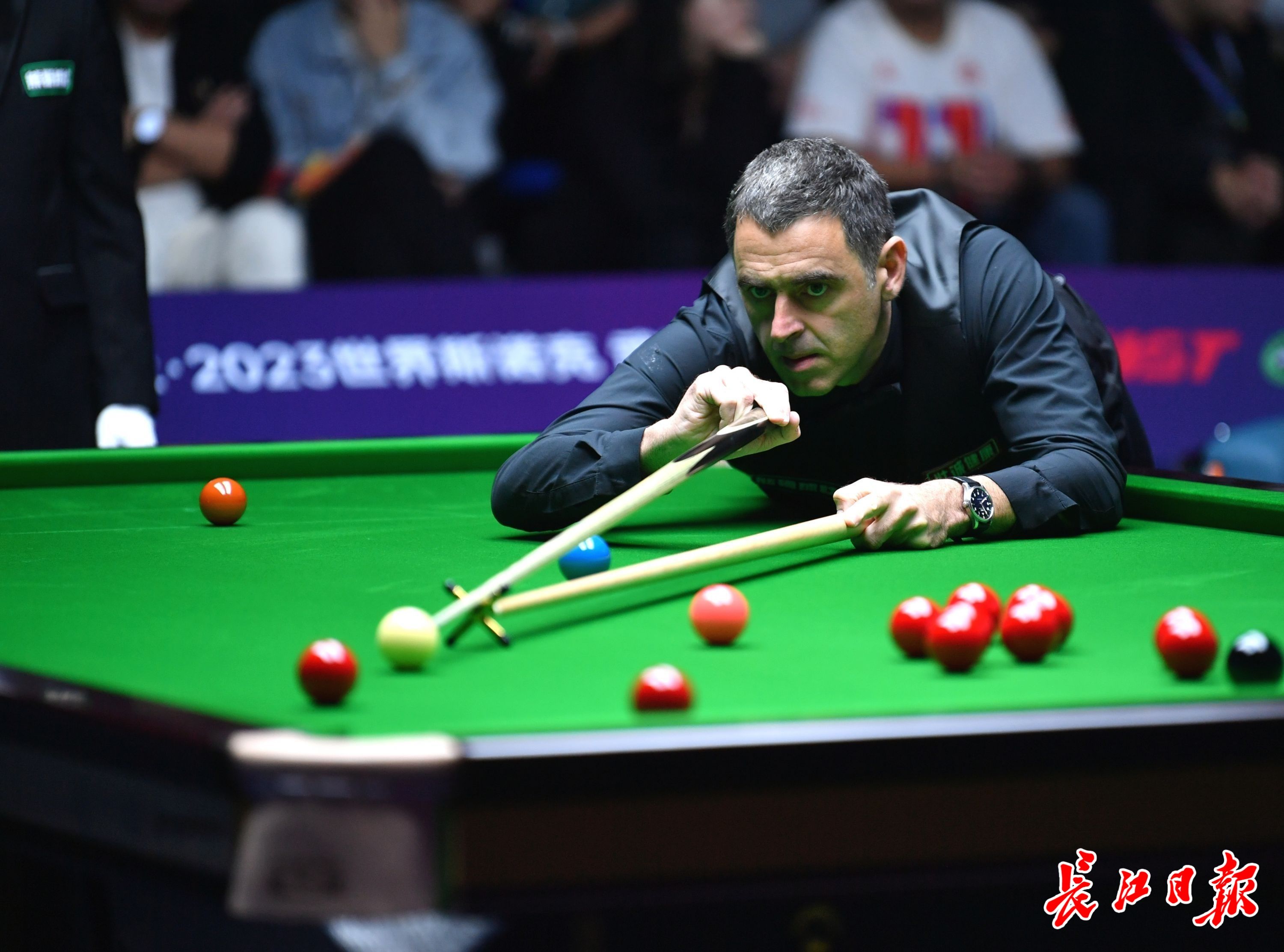 淡季同样有 淡季同样有