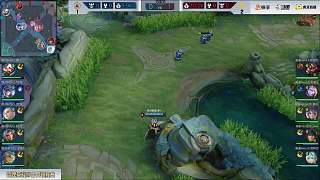 有限许可 有限许可