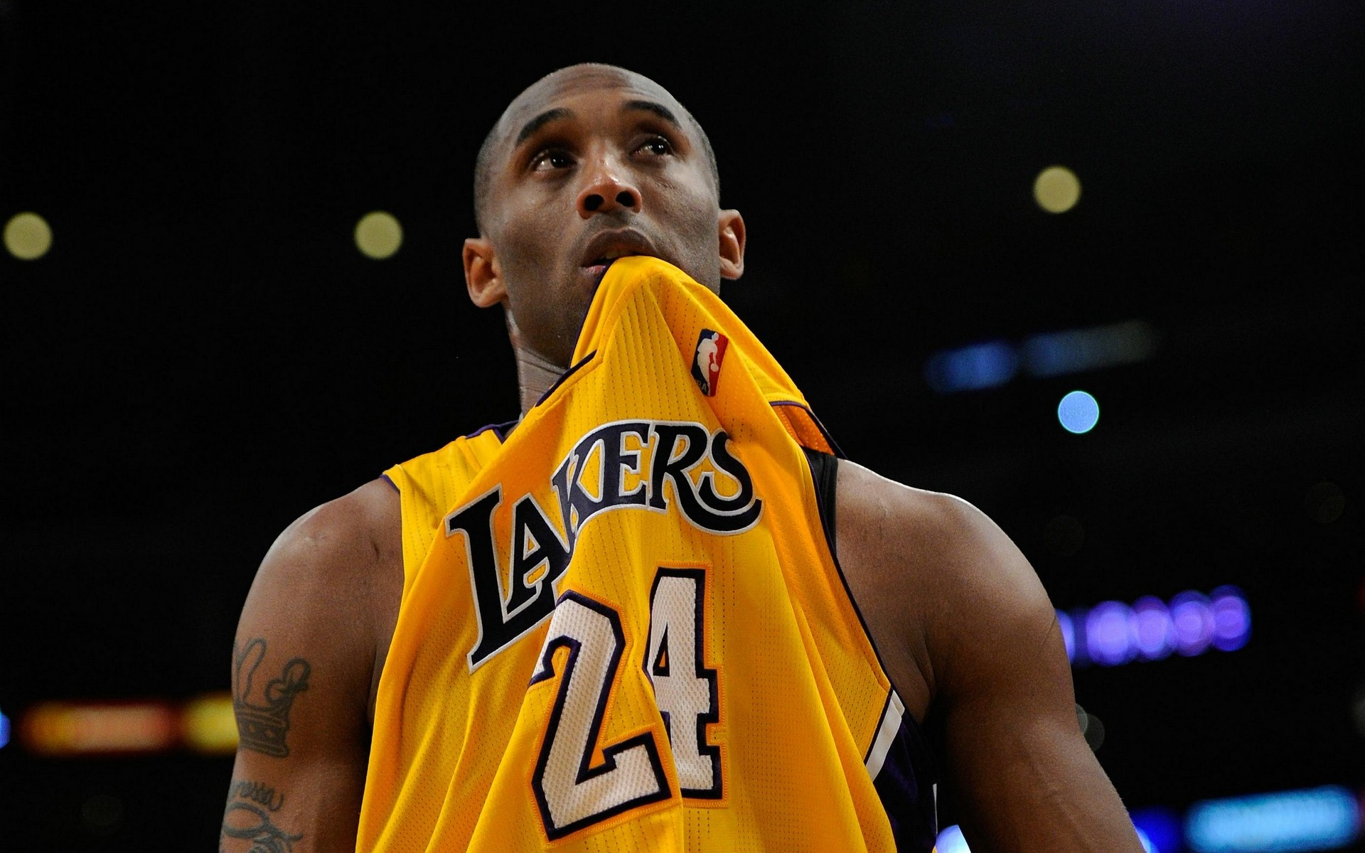 信任 信任